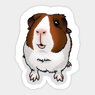 Red Dutch Guinea Pig Sticker